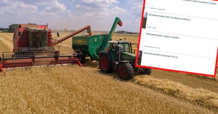 Przedsiębiorcy chcą iść do KRUS, by okiwać Polski Ład. Mogą się jednak rozczarować