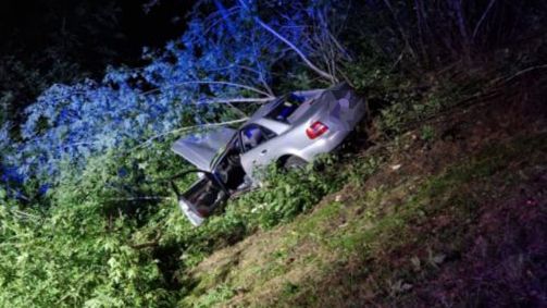 Z wstępnych ustaleń wynika, że na jezdnię przed nadjeżdżające audi wbiegł łoś. 