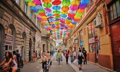 Czy to możliwe? Naukowcy mówią, że odkryli nowy kolor