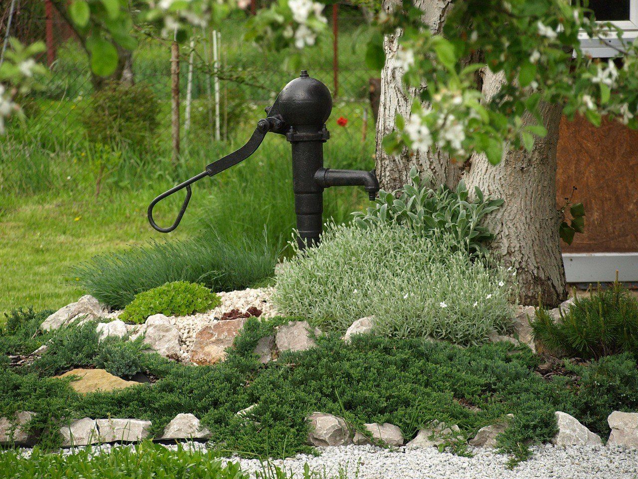 Kłótnia o grilla i tuje - czyli czego nie wolno robić na działce ROD