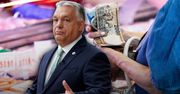 "Kapitalizm kolesiów". Tak Orban zatrzymał rozwój Węgier [ANALIZA]