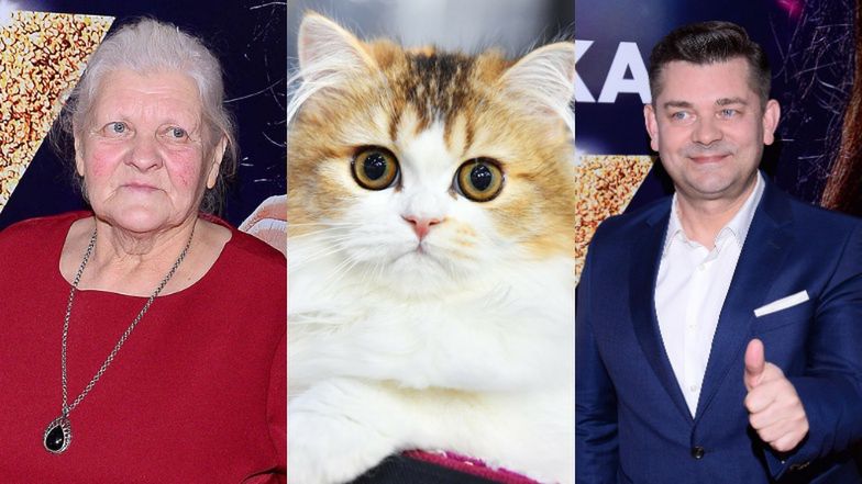 Mama Zenka Martyniuka zdradza, jak uspokajała go w młodości