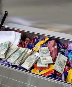 Tajemnicza skrzynia pod domem dziecka. Nie potwierdziły się plotki ws. pieniędzy