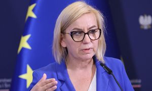 Chcą wyciąć 6678 drzew. Ministerstwo stawia sprawę jasno