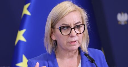 Wycinka drzew przy drogach. Ministerstwo stawia sprawę jasno