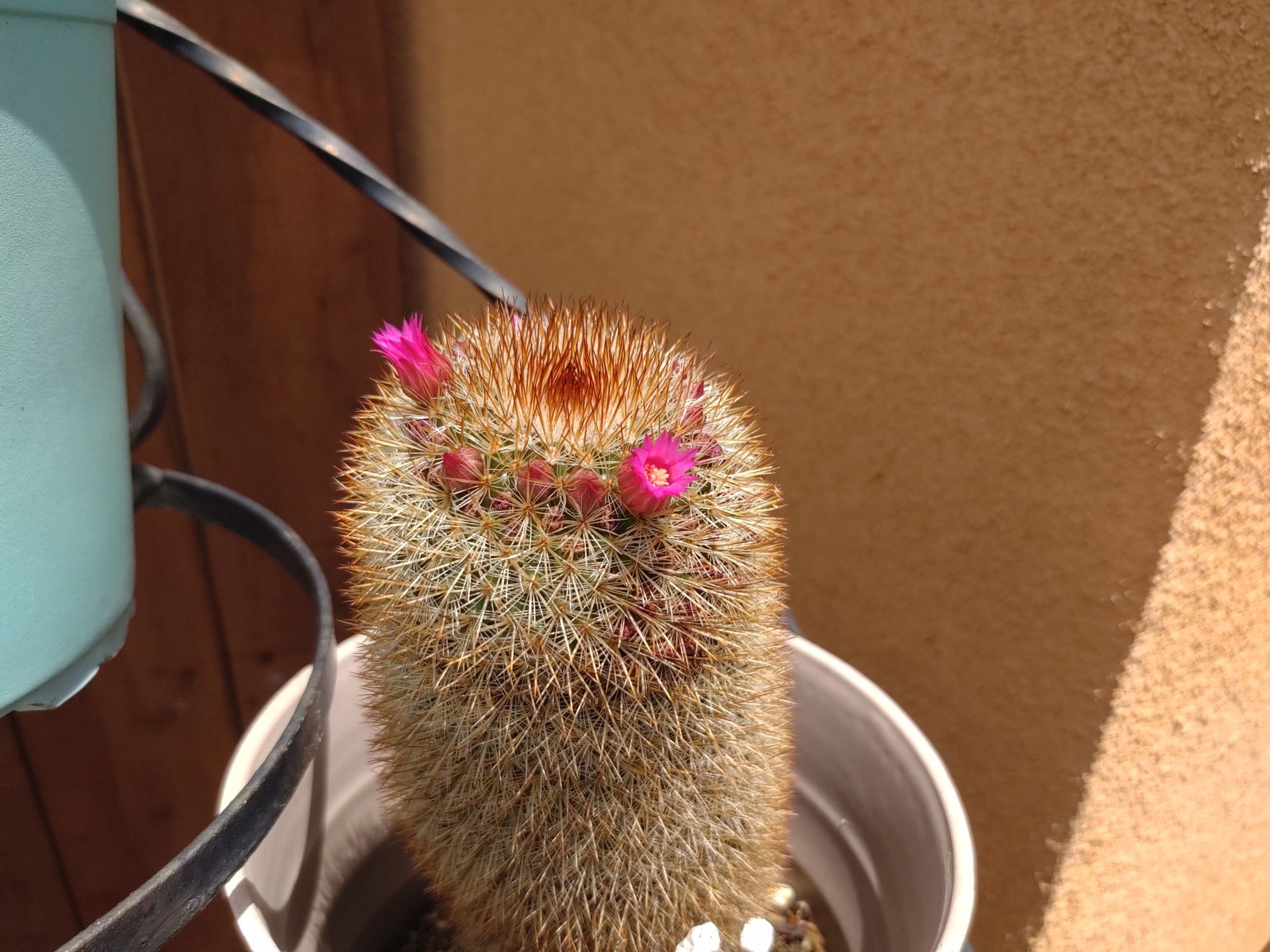 Motorola Moto Z4 w pełnej krasie. Ktoś kupił smartfon, który nie został jeszcze zaprezentowany 6