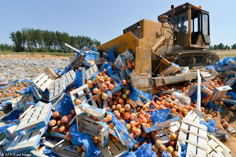 W Polsce wciąż nie ma regulacji prawnych, które miałyby przeciwdziałać marnowaniu żywności