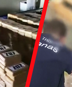 Prześwietlili kontener z bananami. Największe przejęcie w historii Hiszpanii