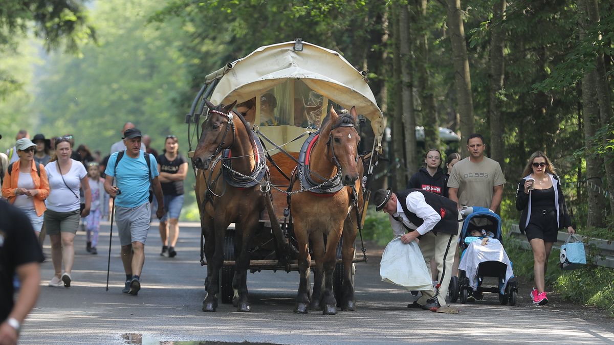 Ekolodzy chcą likwidacji transportu konnego na Morskie Oko.