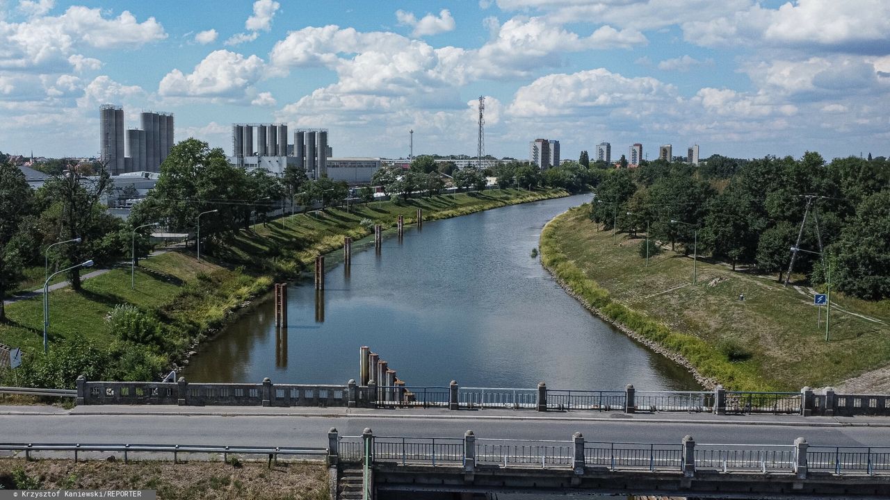 Nagły wzrost poziomu Odry mimo suszy? Jest komunikat Wód Polskich