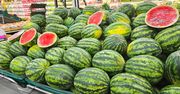 Zwróć uwagę, zanim włożysz do koszyka. Taki arbuz jest soczysty i słodki