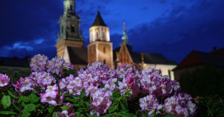 Astronomiczna wiosna. Pogoda nie zawiedzie. Wyż Oliver zrobi swoje