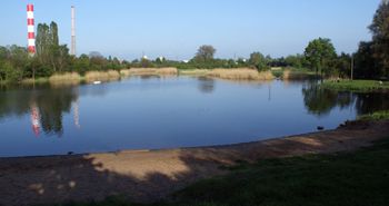 Kąpielisko nad Jeziorkiem Czerniakowskim znów zamknięte. Powodem sinice