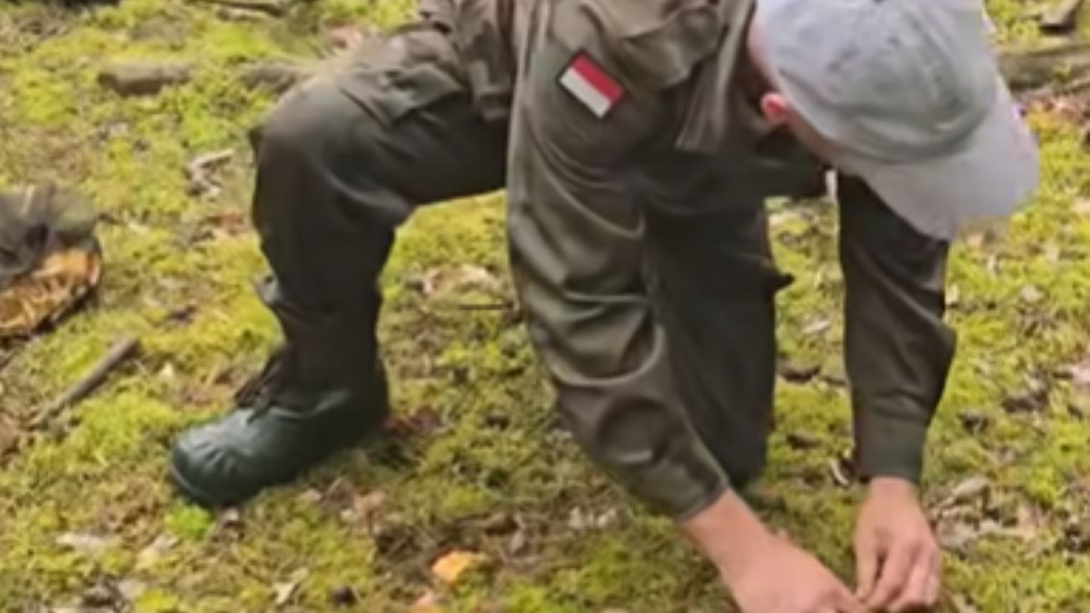 Pokazał, jak należy zbierać kurki.