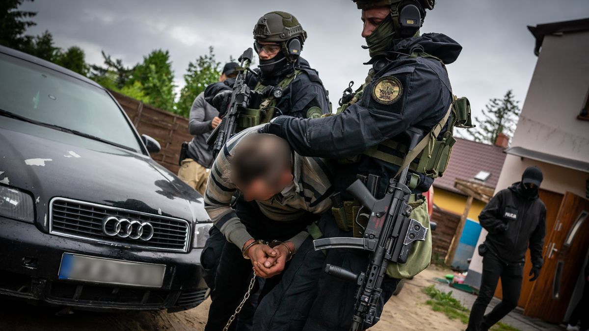 Zatrzymanie mężczyzny podejrzanego o morderstwo w Gdańsku