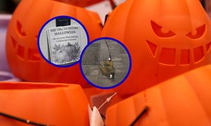 Kartka na Halloween. A pod nią taki widok. "Zasługuje na potępienie"