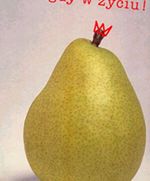 Casting do Nigdy w życiu! Grocholi rozpoczęty