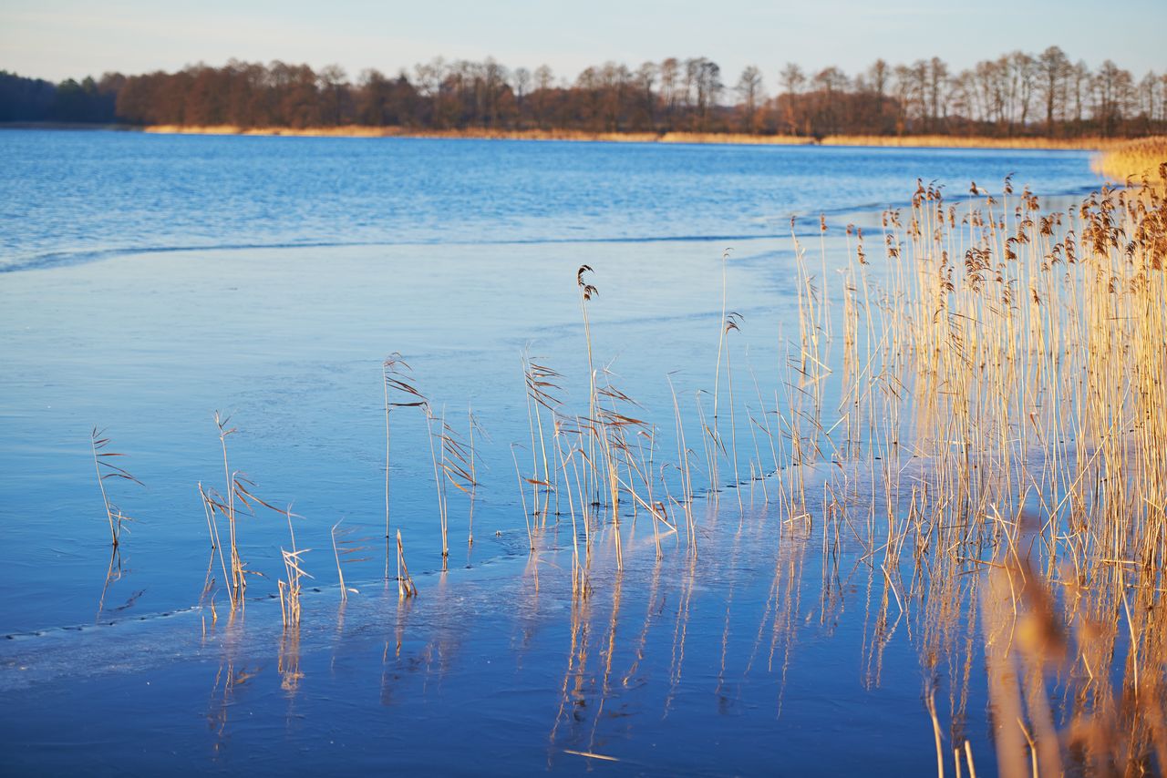 Ferie na Mazurach. Odpocznij z widokiem na jezioro