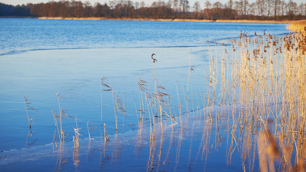 Ferie na Mazurach z widokiem 
