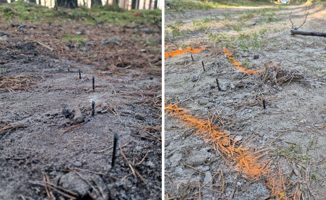 Pułapka na leśnej drodze. Z ziemi wystawały metalowe wkręty