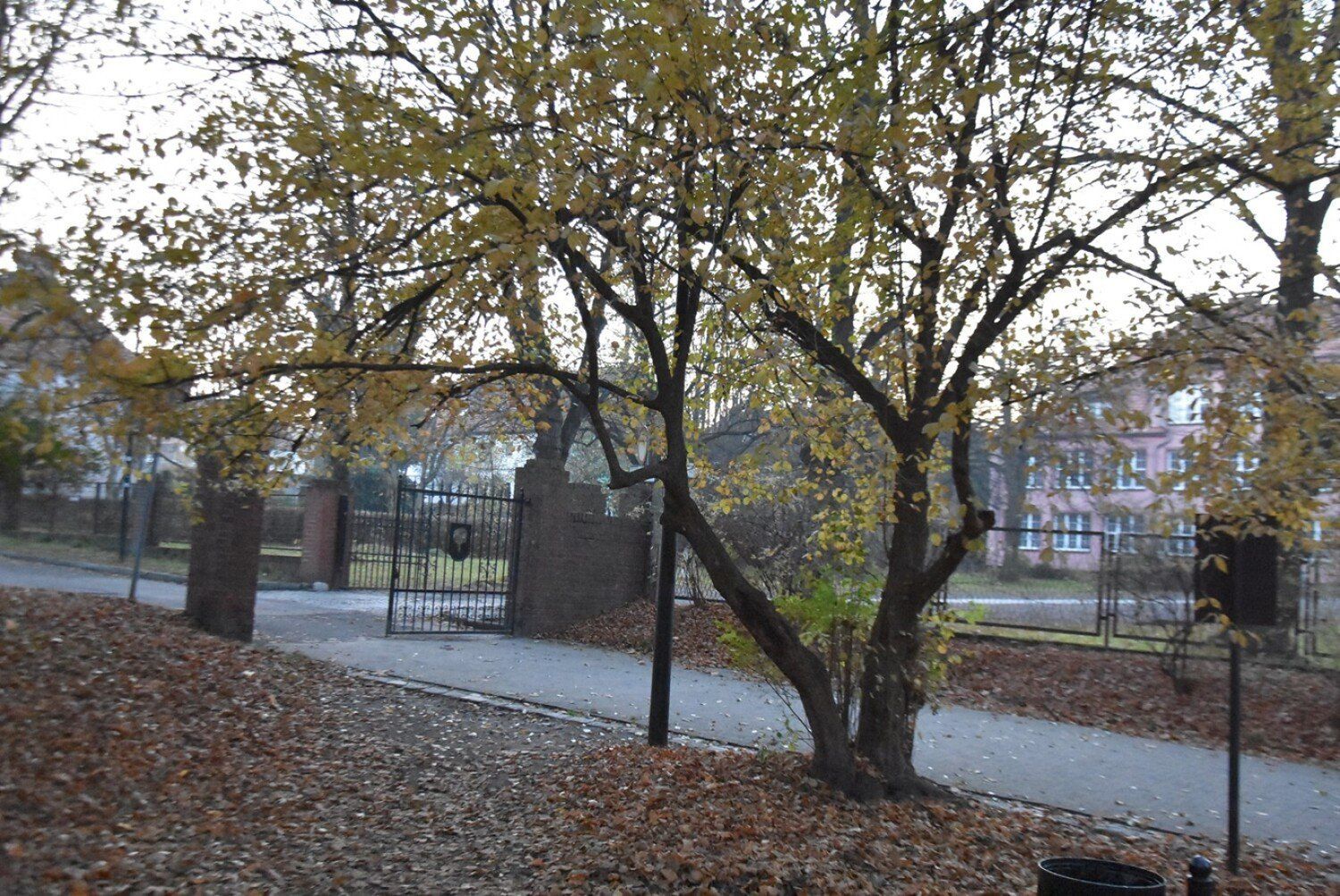 Park w Sobięcinie, najstarszy park w Wałbrzychu w jesiennej odsłonie