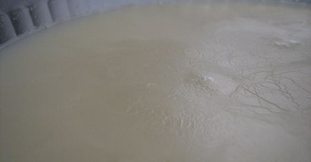 Gotowany tłuszcz podskórny z jagnięciny nowozelandzkiej