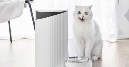 Xiaomi FurryTail: luka pozwoliła kontrolować 11 tys. podajników karmy dla kotów