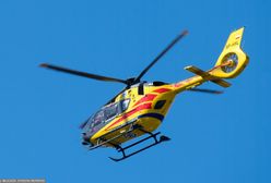 Byki stratowały rolnika. Mężczyzna nie żyje