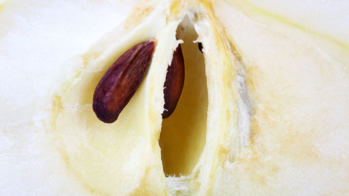 Pestki jabłek mogą spowodować zatrucie organizmu