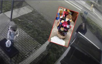 Patrzyła, jak córka zabiera cudzą choinkę. Wysłała list. "Wstyd"