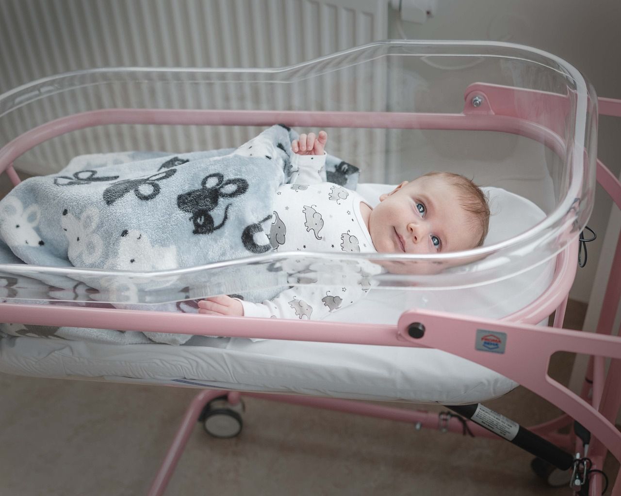 Zdjęcie ilustracyjne 