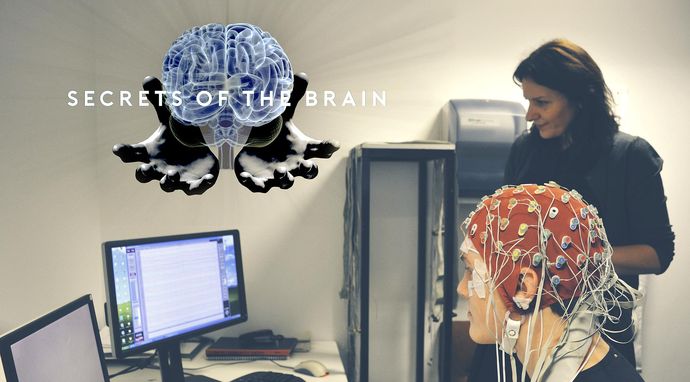 Secrets of the Brain 2