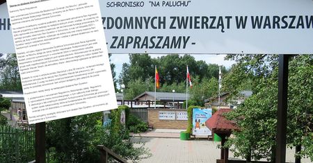 Strach, zła atmosfera. Wolontariusze schroniska dla psów mają dosyć