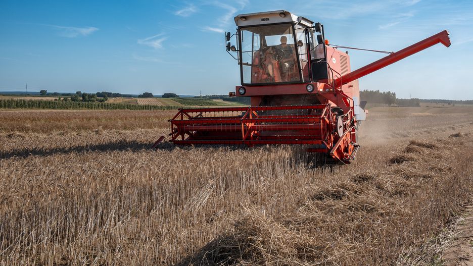 Kombajn bizon