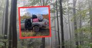 Leśnicy wywieźli pełne auto. Nie kryją złości. "Sprawa na policji"