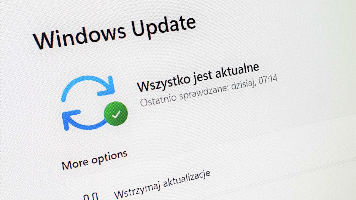 Windows 11 i Windows Update