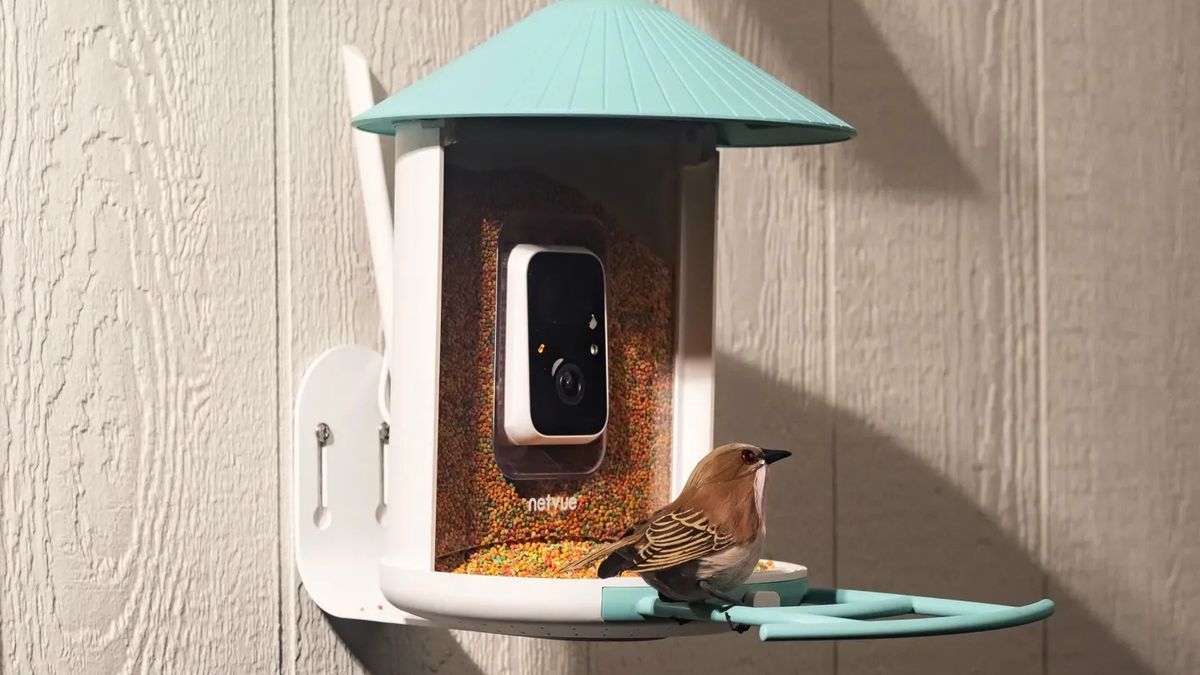 Birdfy Feeder wygląda jak karmnik przyszłości