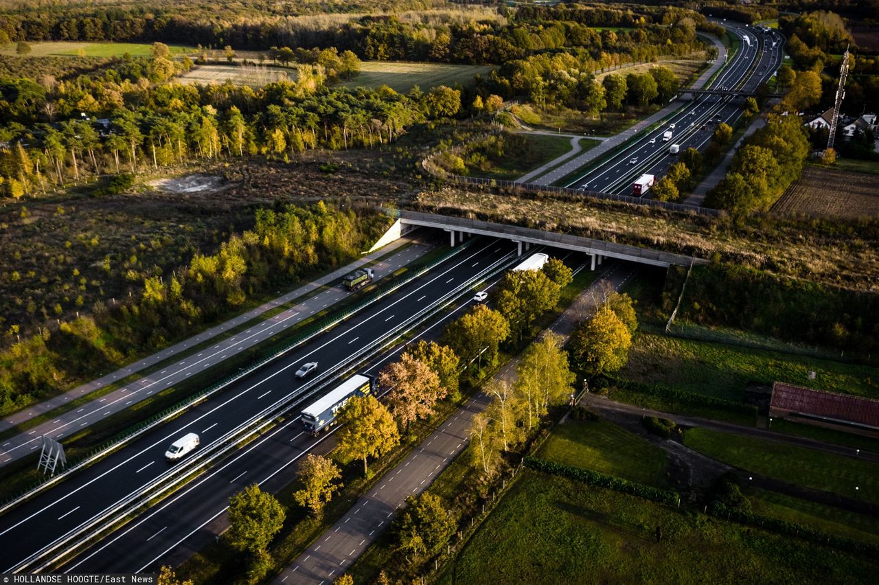Holandia obniża prędkość na autostradach do 100 km/h. Powodem nie jest bezpieczeństwo