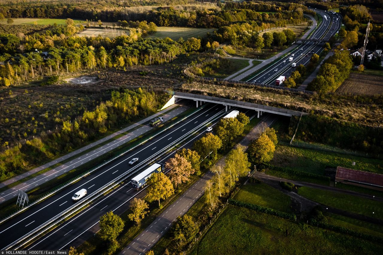 100 km/h w godzinach 6-19 i 120 lub 130 km/h między 19 a 6 - takie zmiany wprowadziła Holandia