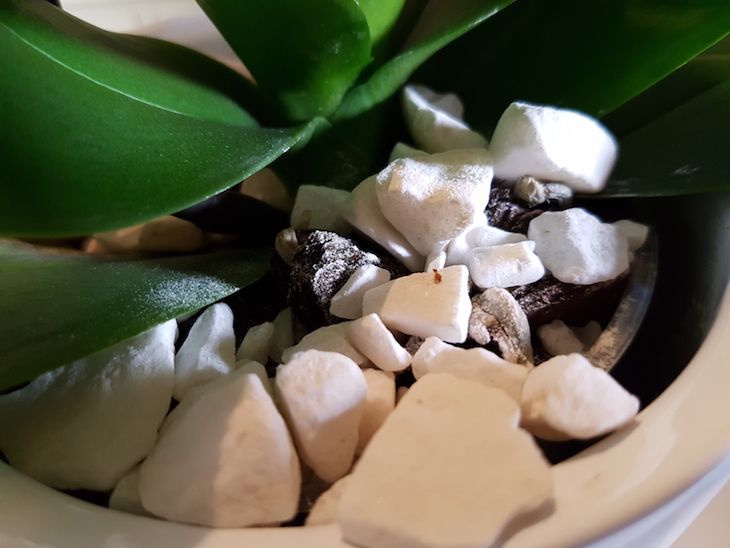 Samsung Galaxy S7 - przykładowe zdjęcia i szybkie porównanie z Galaxy S6 26