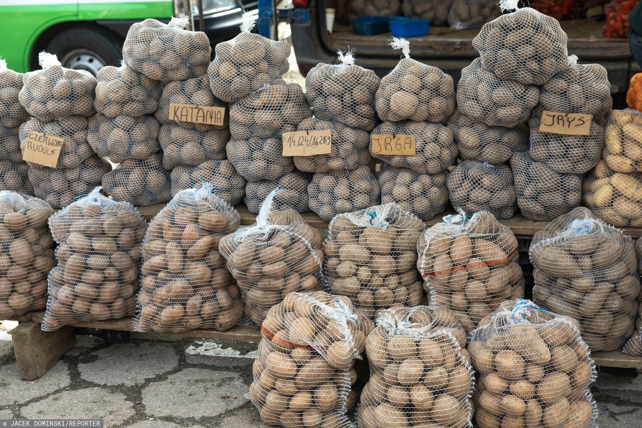 100 tys. ton ziemniaków z Niemiec. Oto co dzieje się na rynku