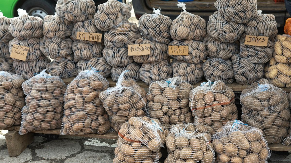 Reporter archiwum 2025 04
16.04.2025 Radzymin targowisko miejskiefot Jacek Dominski/REPORTER
Jacek Dominski/REPORTER