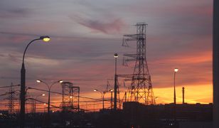 Jak małe i średnie firmy mogą korzystać z KPO?