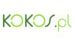 Kokos.pl podsumowuje pierwszy rok działalności