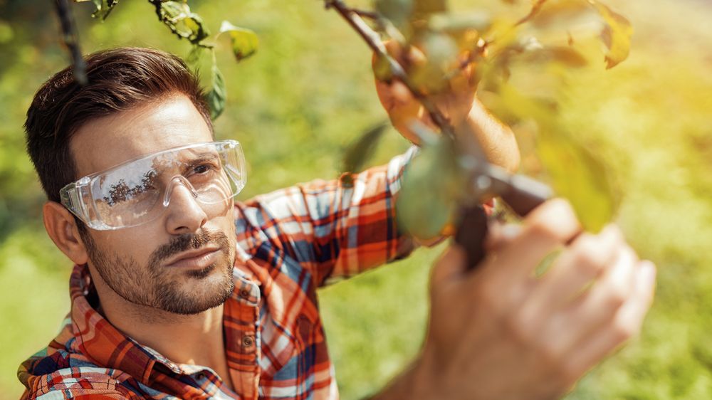 Jedno narzędzie, wiele funkcji. Jak zrobić porządki na działce i się nie przemęczyć 1