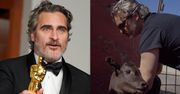 Joaquin Phoenix uratował krowę i cielę przed niechybną ŚMIERCIĄ W RZEŹNI dzień po odebraniu Oscara