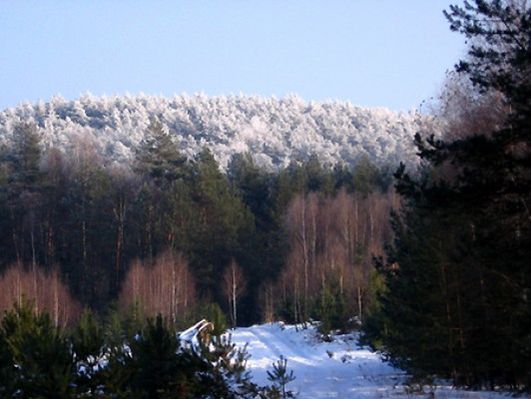 Obraz