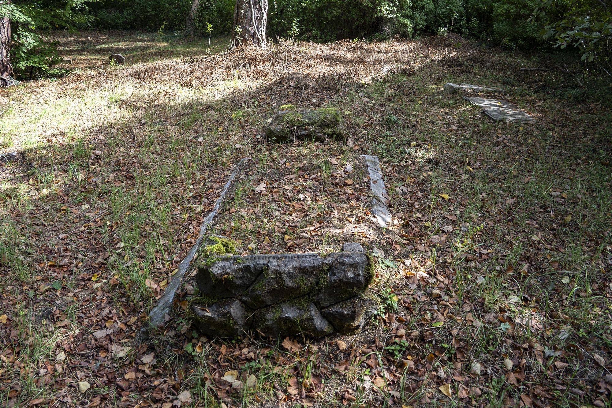 Żydowski kirkut w Jastrowiu.