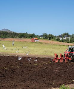 Emerytury rolników w górę. O tyle wzrosną od 1 marca