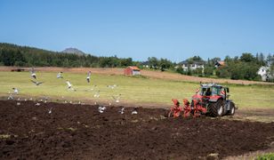 Emerytury rolników w górę. O tyle wzrosną od 1 marca